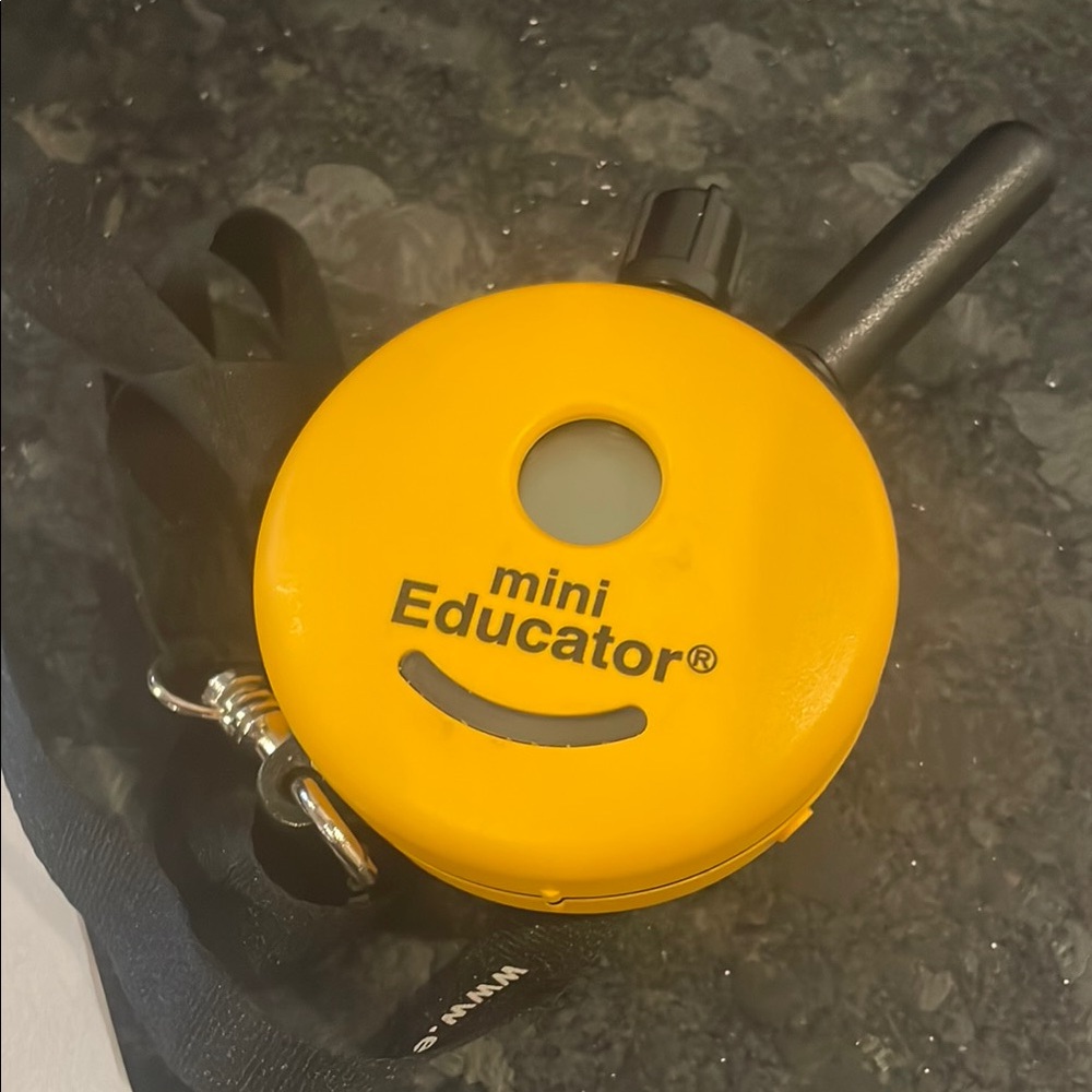 Yellow Dog Training Collar